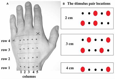 Mind the Gap: The Effects of Temporal and Spatial Separation in Localization of Dual Touches on the Hand